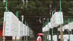 民樂群星,風景,輕音樂,樂動城市,日本娛樂 - 美好的夏日 summer in Japan