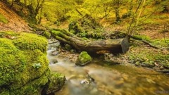 民樂群星,風景,輕音樂,樂動城市 - 波斯尼亞和黑塞哥維那唯美風光