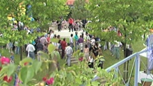Welch ein Tag (ZDF-Fernsehgarten 14.06.1992) (VOD)