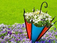 鳥語花香 森林中的藍鈴花