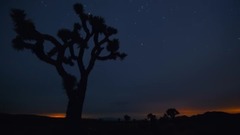 莫扎特:D大調嬉游曲 K136