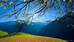 貝克山旖旎風光