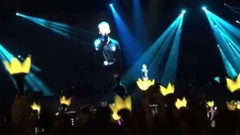 Bigbang演唱會