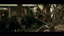 Ich han d? Millowitsch jesinn (Videoclip)