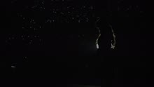 A Essência da Adora??o (Videoclipe)