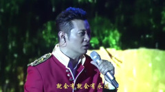 錦瑟流年