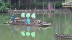 放飛孔雀