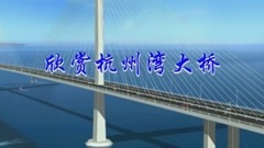 欣賞杭州灣大橋