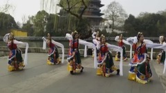 欣賞公園里的舞蹈