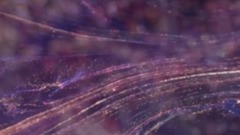 民樂群星,風景,音樂短片,輕音樂,樂動城市 - 我的土地 LAND OF MINE