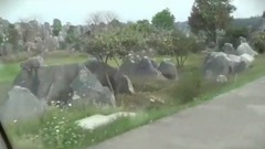 石林的電瓶車