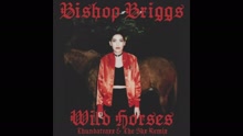 Bishop Briggs - Wild Horses
