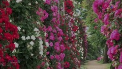 GIOVANNI MARRADI - Romantico