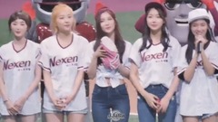 ELRIS