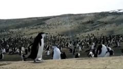 不必苦惱