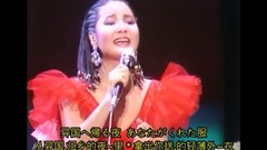 懷念舊情