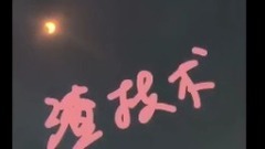 唐嫣自拍美國日全食
