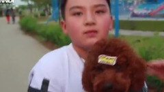 孩迷上孩子與小狗