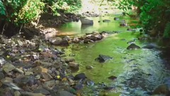 民樂群星,風景,音樂短片,輕音樂 - 潺潺流淌的溪流
