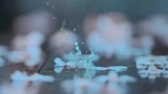 美人淚