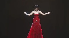 2015臺北小巨蛋鄧麗君紀念演唱會