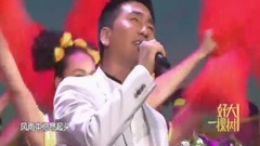 好大一棵樹