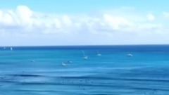 夏威夷海泰妍更新一則