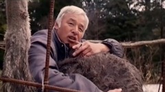 行者—我們替你闖世界·死亡孤城