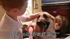 主人剛救了一只德國狼犬回家,隔天突然發狂撲向小女兒!當眾人見狀沖上前想阻止時竟看到讓人心碎的畫面!