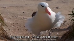 <獵捕.The.Hunt> 第四集