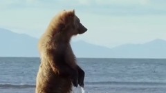 <獵捕 The Hunt>第六集