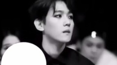 EXo Chanbaek - Faded 飯制