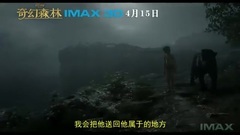 影視原聲 - 奇幻森林 花絮3:主演特輯 (中文字幕)