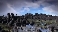地球脈動-Planet Earth (2006) 3、淡水