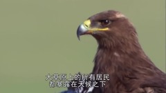 地球脈動-Planet Earth (2006) 7、大草原