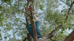電視劇<那年花開月正圓>何潤東親自爬樹為孫儷摘酸棗