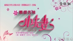 影視原聲 - 電視劇<酸甜苦辣小夫妻>35集預告片