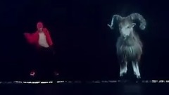 SHEEP 現場版