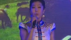流浪的牧馬人