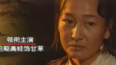 影視原聲 - 電視劇<老旦是一棵樹>片頭曲