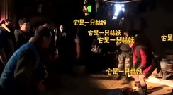 影視原聲 - 楊洋一言不合就放飛自我