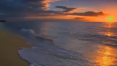 陽光,沙灘,海浪,美侖美奐的風景