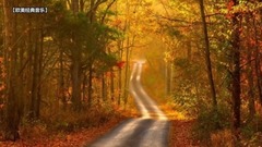 The Autumn Leaves(秋葉)