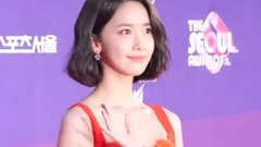 首爾櫻花紅地毯