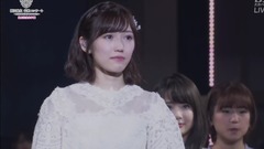 M35 桜の花びらたち & 謝幕