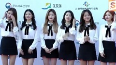 2017夢幻音樂會紅地毯