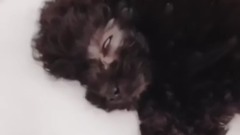 金泰妍的Zero更多第一則