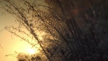 FLY TO THE SKY - Your Season 預告