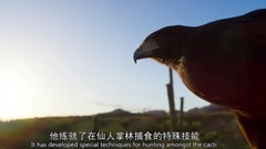 <地球脈動2.沙漠> EP04