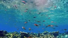 風景,影視原聲,音樂短片,輕音樂 - 奇特的現象.藍色星球II.